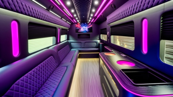 milpitas party bus rental rental